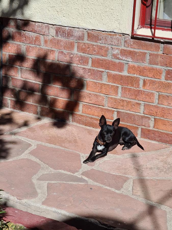 Hostal Iká Chihuahua Kültér fotó