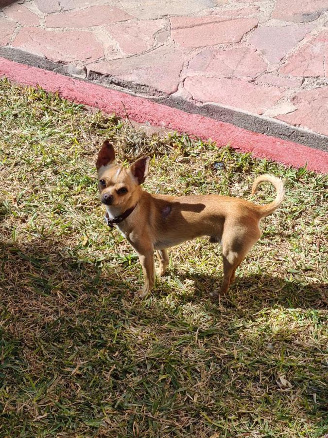 Hostal Iká Chihuahua Kültér fotó